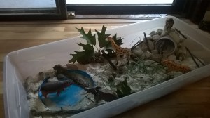 WP_20150907_18_13_27_Pro