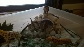 WP_20150907_18_13_30_Pro