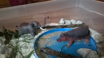 WP_20150907_18_14_37_Pro