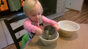 WP_20150928_11_28_01_Pro