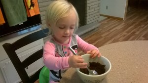 WP_20150928_11_28_45_Pro