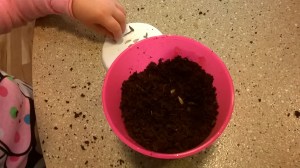 WP_20150928_11_33_17_Pro