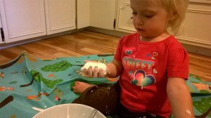 WP_20151012_11_22_30_Pro