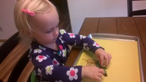 WP_20151014_09_51_16_Pro