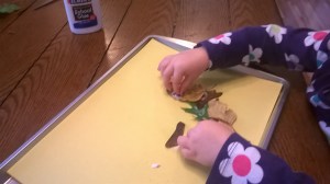 WP_20151014_09_53_56_Pro