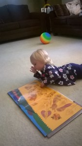 WP_20151014_10_08_24_Pro