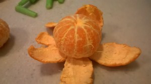 WP_20151017_11_35_05_Pro