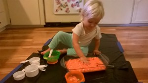 WP_20151019_09_52_33_Pro