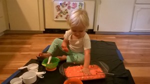 WP_20151019_09_52_40_Pro